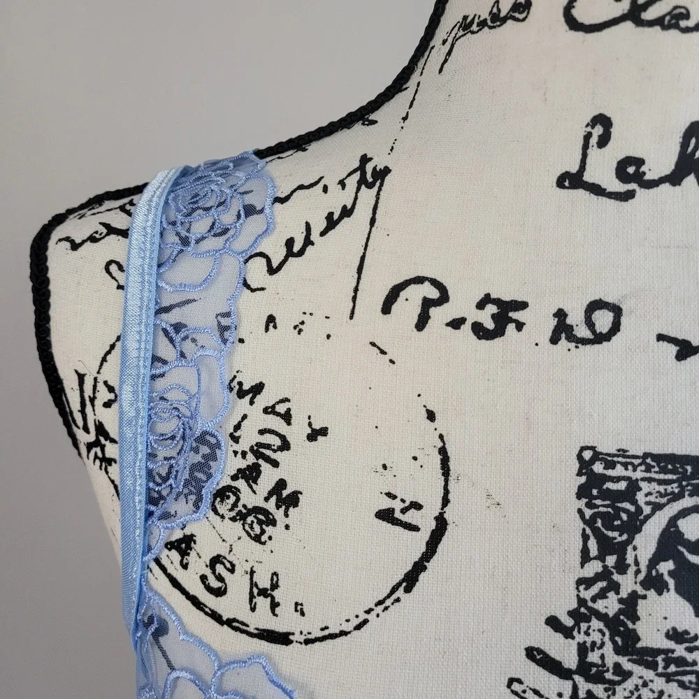 Blue lace‎ bra sheer floral medium rose print pastel coquette feminine romantic